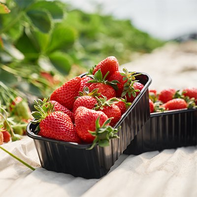 Контейнеры для ягод, фруктов, овощей и зелени